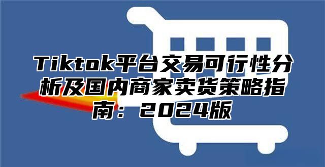 Tiktok平台交易可行性分析及国内商家卖货策略指南：2025版