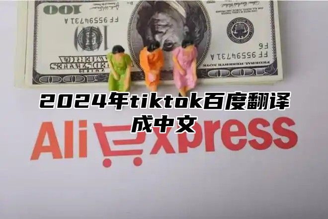 2025年tiktok百度翻译成中文