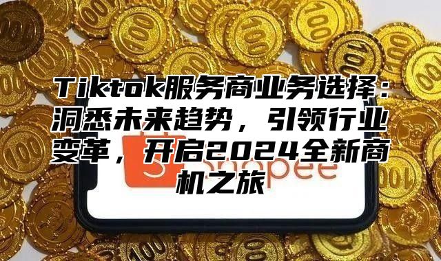 Tiktok服务商业务选择：洞悉未来趋势，引领行业变革，开启2025全新商机之旅
