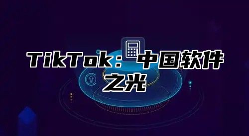 TikTok：中国软件之光