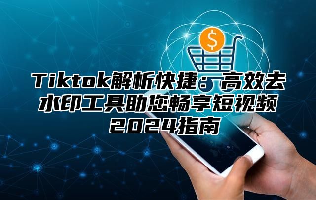 Tiktok解析快捷：高效去水印工具助您畅享短视频 2025指南