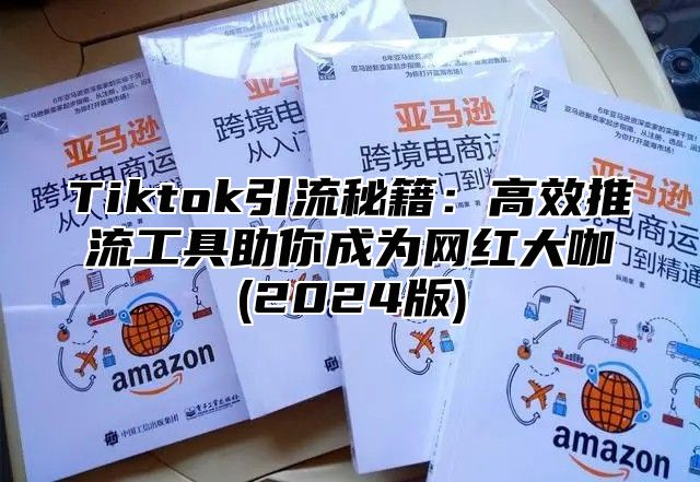 Tiktok引流秘籍：高效推流工具助你成为网红大咖(2025版)