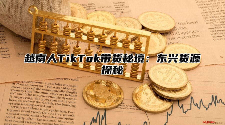 越南人TikTok带货秘境：东兴货源探秘