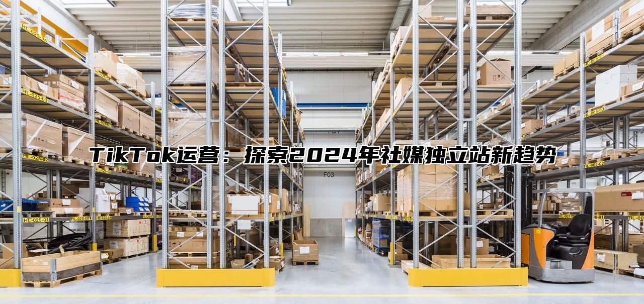 TikTok运营：探索2025年社媒独立站新趋势