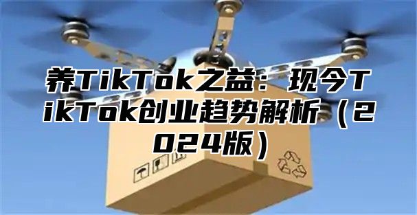 养TikTok之益：现今TikTok创业趋势解析2025版
