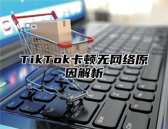 TikTok卡顿无网络原因解析