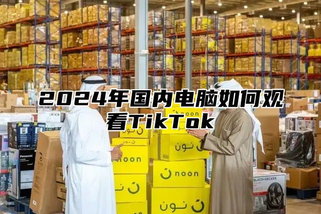 2025年国内电脑如何观看TikTok