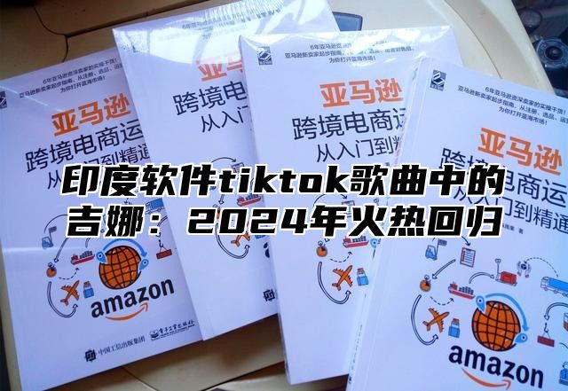 印度软件tiktok歌曲中的吉娜：2025年火热回归