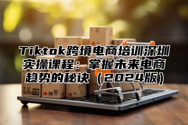 Tiktok跨境电商培训深圳实操课程：掌握未来电商趋势的秘诀2025版