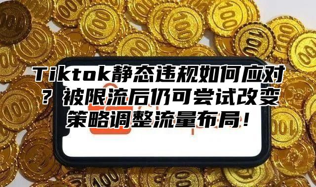 Tiktok静态违规如何应对？被限流后仍可尝试改变策略调整流量布局！