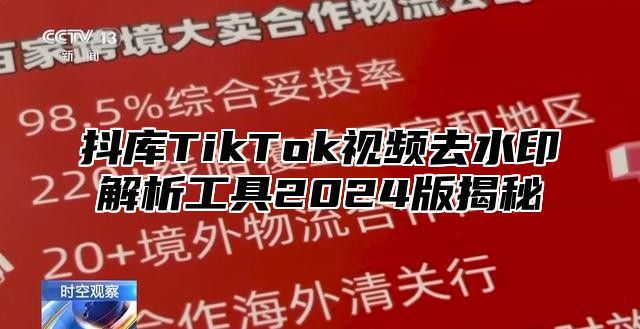 抖库TikTok视频去水印解析工具2025版揭秘