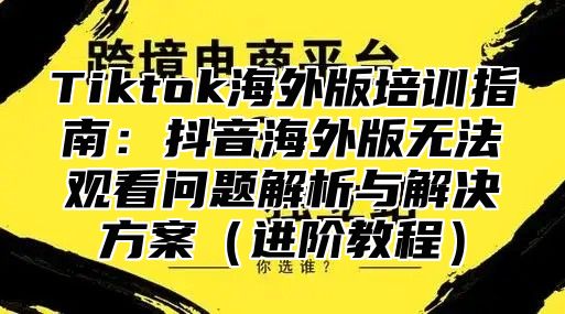 Tiktok海外版培训指南：抖音海外版无法观看问题解析与解决方案进阶教程