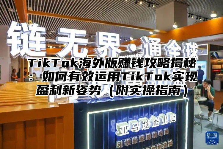 TikTok海外版赚钱攻略揭秘：如何有效运用TikTok实现盈利新姿势附实操指南