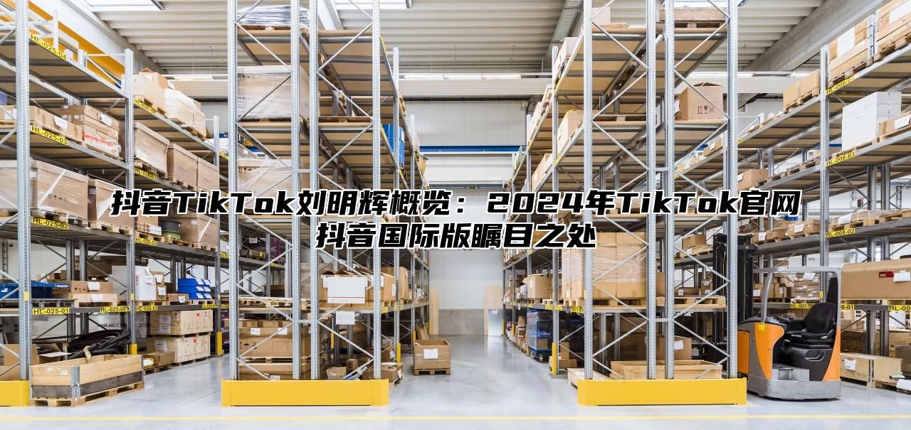 抖音TikTok刘明辉概览：2025年TikTok官网抖音国际版瞩目之处