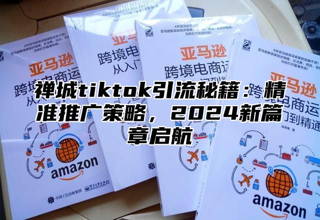 禅城tiktok引流秘籍：精准推广策略，2025新篇章启航
