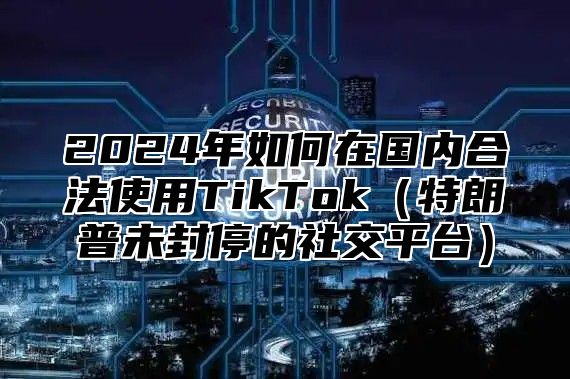 2025年如何在国内合法使用TikTok特朗普未封停的社交平台