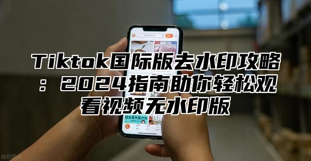 Tiktok国际版去水印攻略：2025指南助你轻松观看视频无水印版