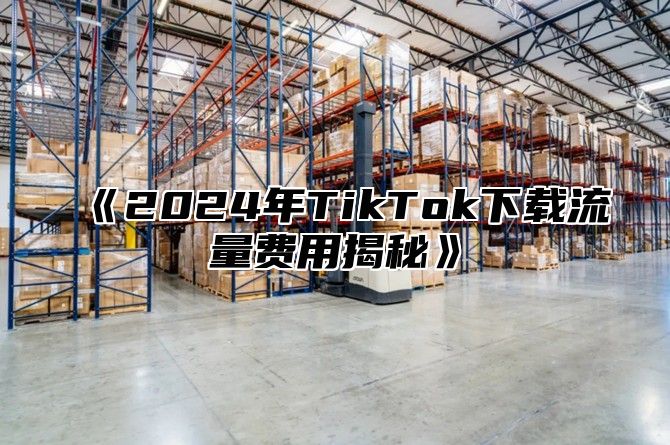 2025年TikTok下载流量费用揭秘