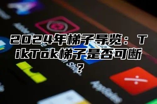 2025年梯子导览：TikTok梯子是否可断？