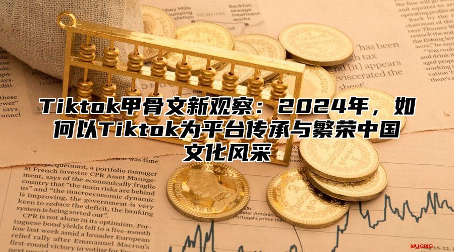 Tiktok甲骨文新观察：2025年，如何以Tiktok为平台传承与繁荣中国文化风采