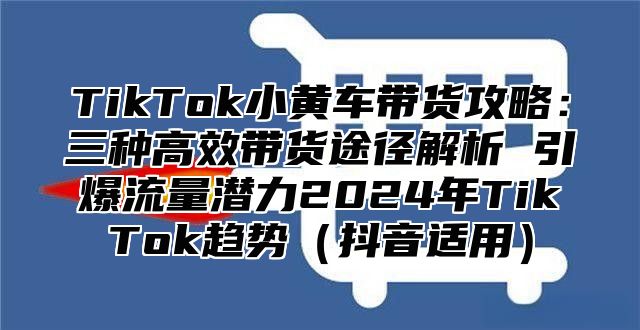 TikTok小黄车带货攻略：三种高效带货途径解析 引爆流量潜力2025年TikTok趋势抖音适用