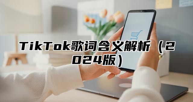 TikTok歌词含义解析2025版