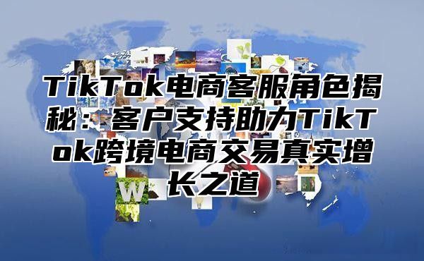 TikTok电商客服角色揭秘：客户支持助力TikTok跨境电商交易真实增长之道