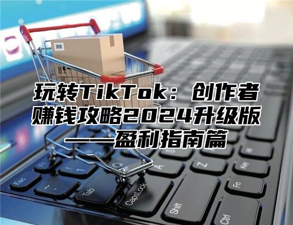 玩转TikTok：创作者赚钱攻略2025升级版——盈利指南篇