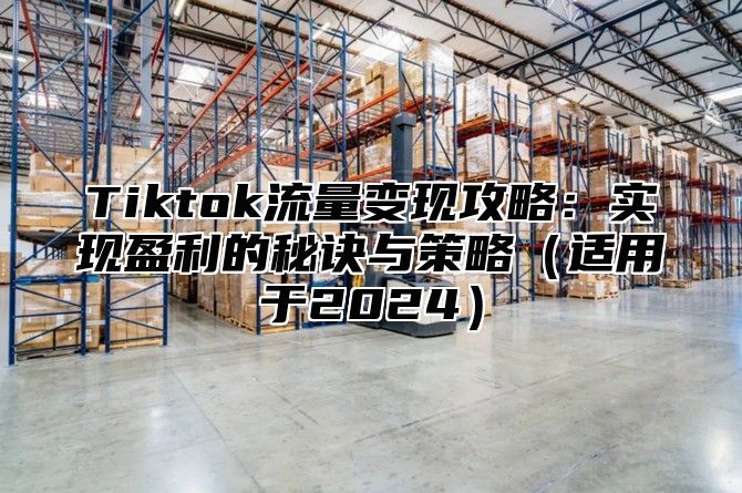 Tiktok流量变现攻略：实现盈利的秘诀与策略适用于2025
