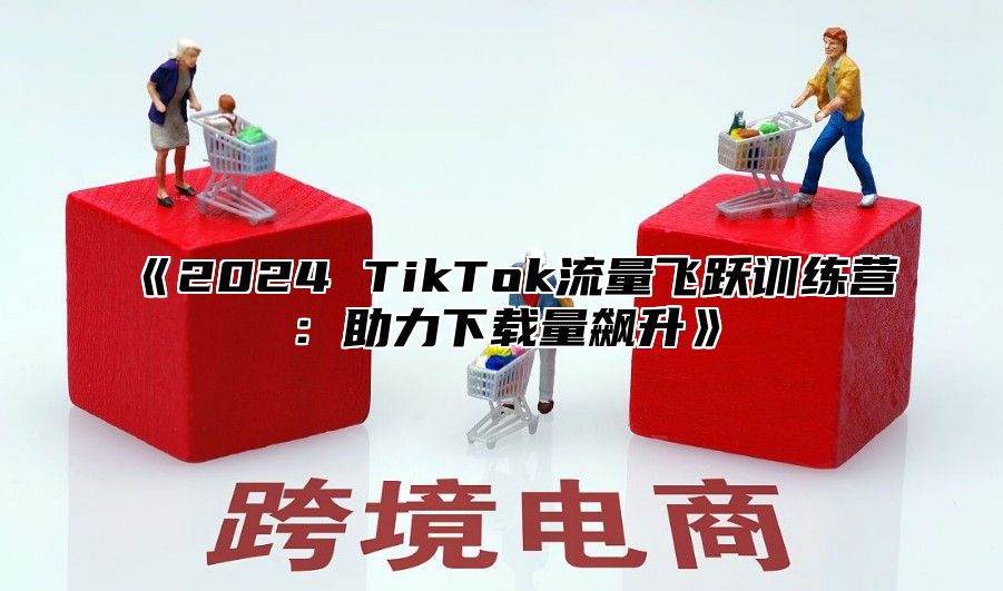 2025TikTok流量飞跃训练营：助力下载量飙升