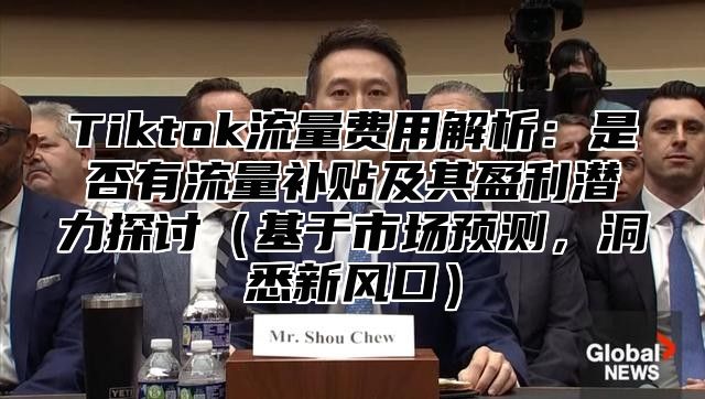 Tiktok流量费用解析：是否有流量补贴及其盈利潜力探讨基于市场预测，洞悉新风口