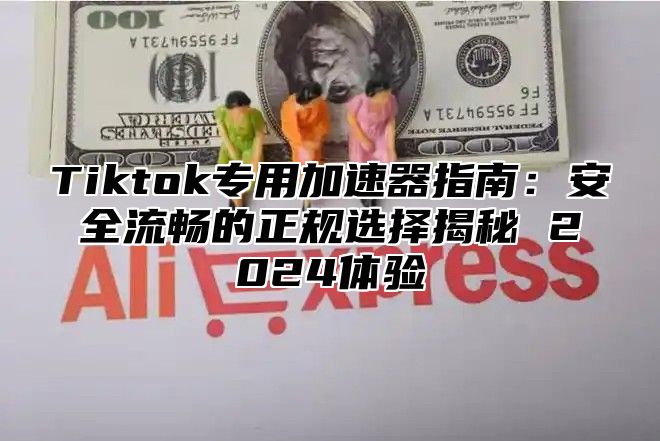 Tiktok专用加速器指南：安全流畅的正规选择揭秘 2025体验