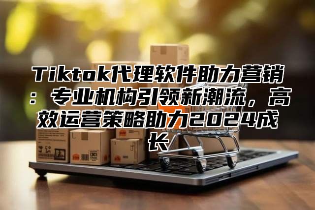 Tiktok代理软件助力营销：专业机构引领新潮流，高效运营策略助力2025成长