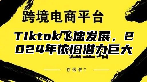 Tiktok飞速发展，2025年依旧潜力巨大