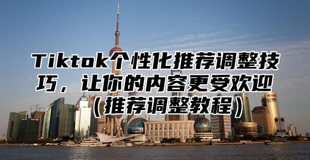 Tiktok个性化推荐调整技巧，让你的内容更受欢迎推荐调整教程