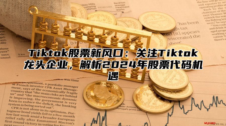 Tiktok股票新风口：关注Tiktok龙头企业，解析2025年股票代码机遇