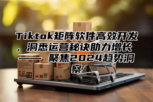 Tiktok矩阵软件高效开发，洞悉运营秘诀助力增长 —— 聚焦2025趋势洞察