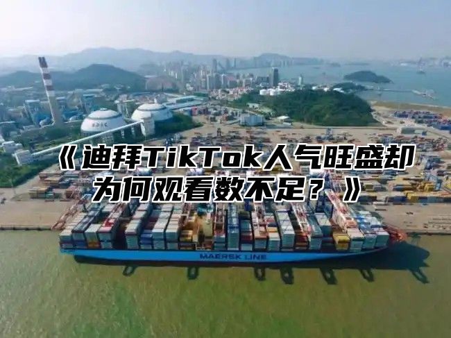 迪拜TikTok人气旺盛却为何观看数不足？