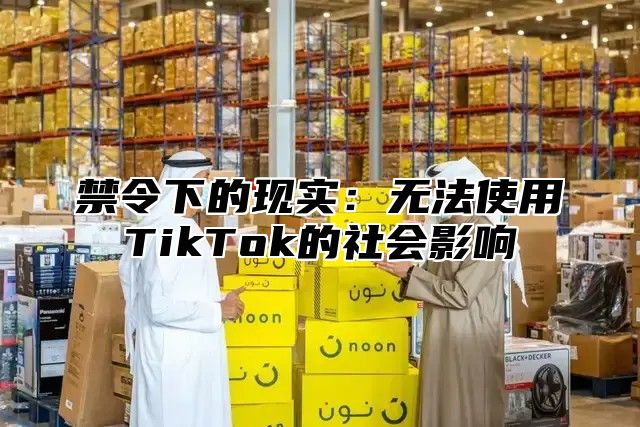 禁令下的现实：无法使用TikTok的社会影响