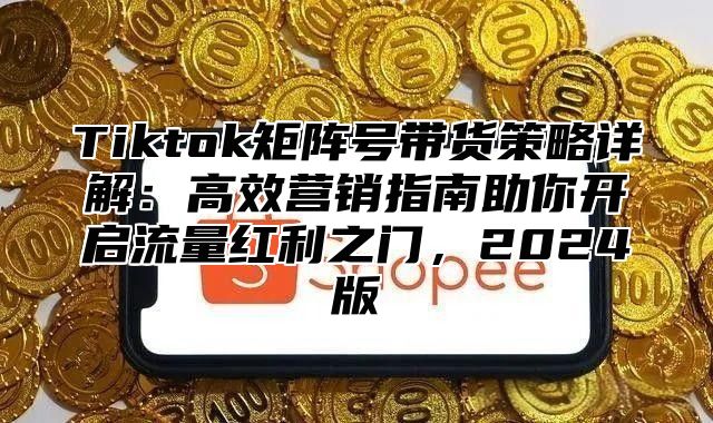 Tiktok矩阵号带货策略详解：高效营销指南助你开启流量红利之门，2025版