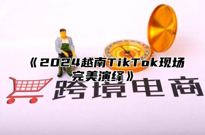 2025越南TikTok现场完美演绎
