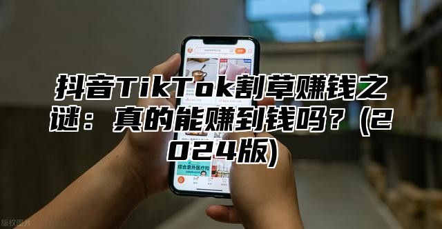 抖音TikTok割草赚钱之谜：真的能赚到钱吗？(2025版)