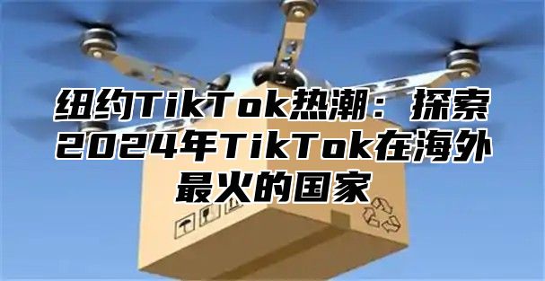纽约TikTok热潮：探索2025年TikTok在海外最火的国家