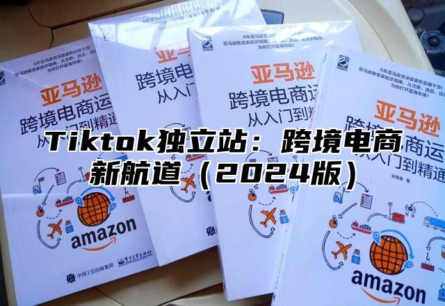 Tiktok独立站：跨境电商新航道2025版