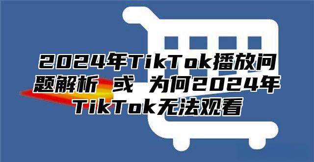 2025年TikTok播放问题解析 或 为何2025年TikTok无法观看