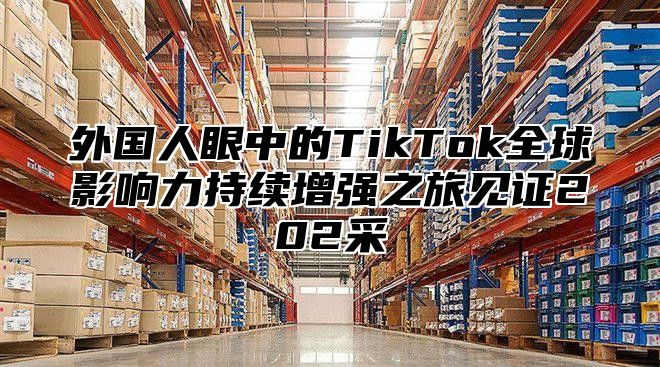 外国人眼中的TikTok全球影响力持续增强之旅见证202采