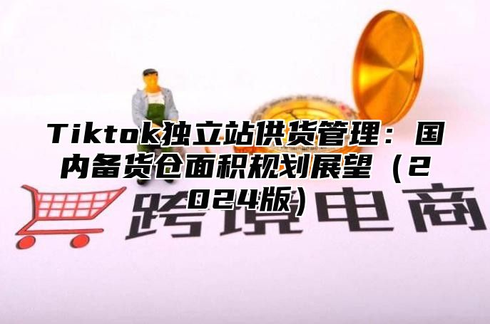 Tiktok独立站供货管理：国内备货仓面积规划展望2025版