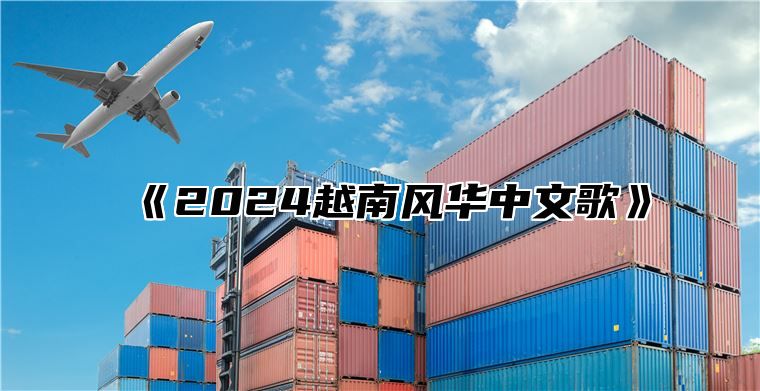2025越南风华中文歌