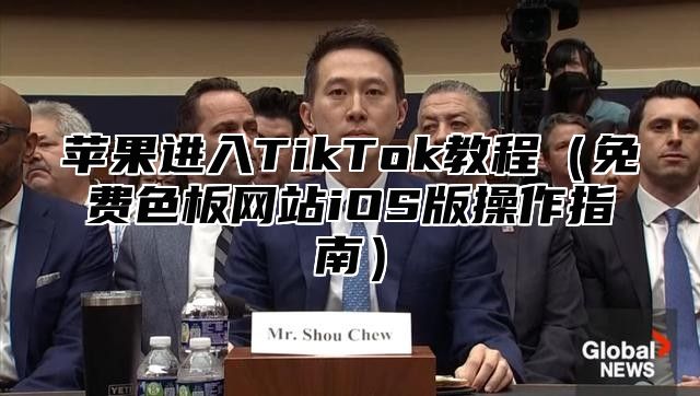苹果进入TikTok教程免费色板网站iOS版操作指南