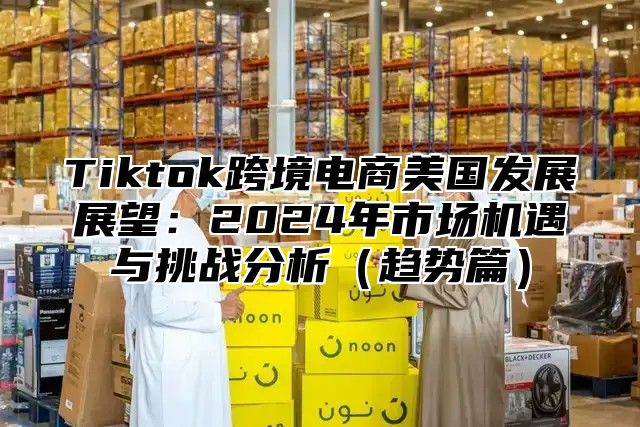Tiktok跨境电商美国发展展望：2025年市场机遇与挑战分析趋势篇